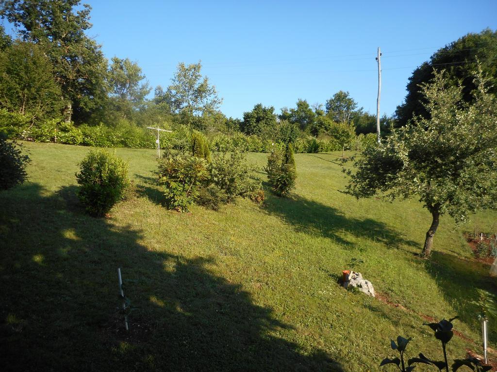 Apartments Sterna Grožnjan Cameră foto